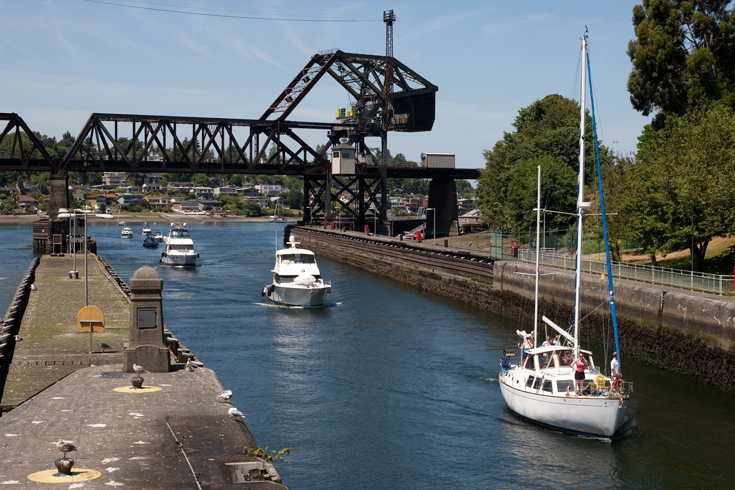 Run with the salmon at the Hiram M. Chittenden Locks.